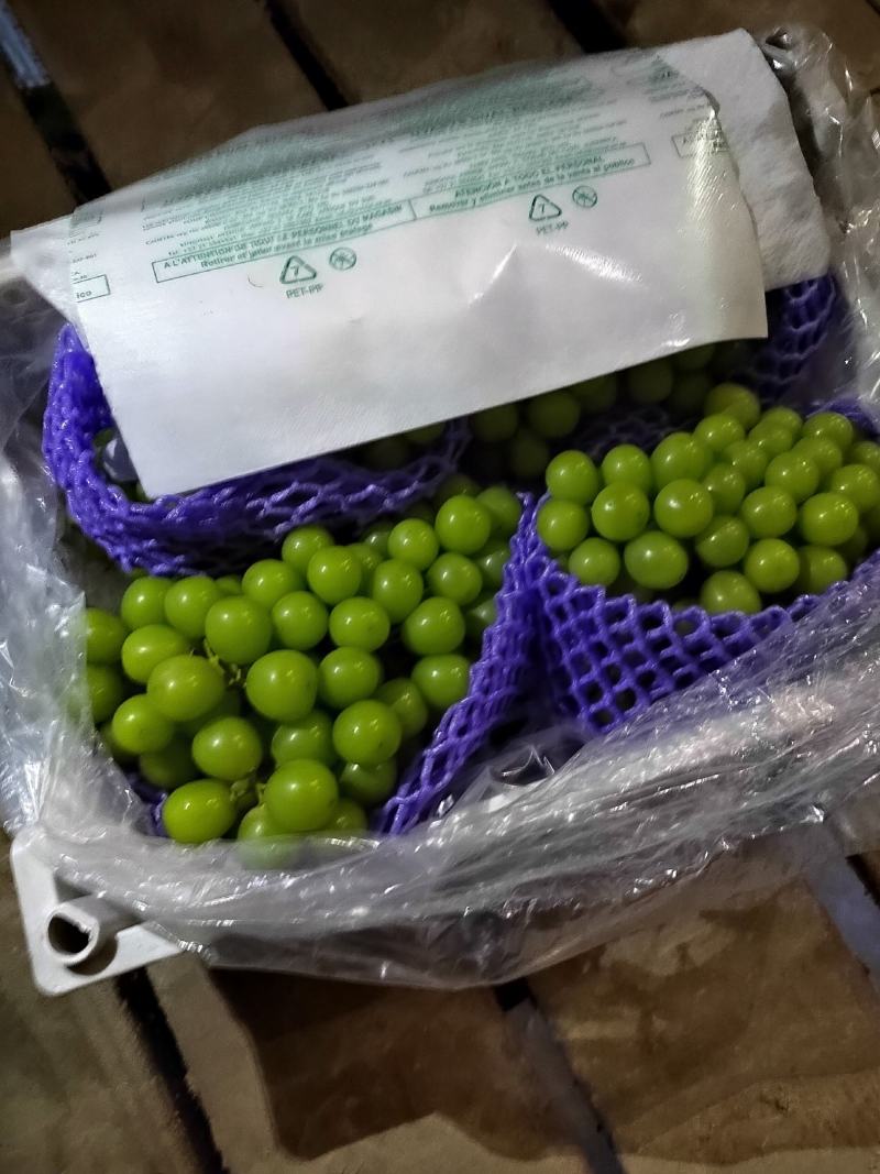 阳光玫瑰礼品盒电商果，价格美丽海量货源，保证质量欢迎致电