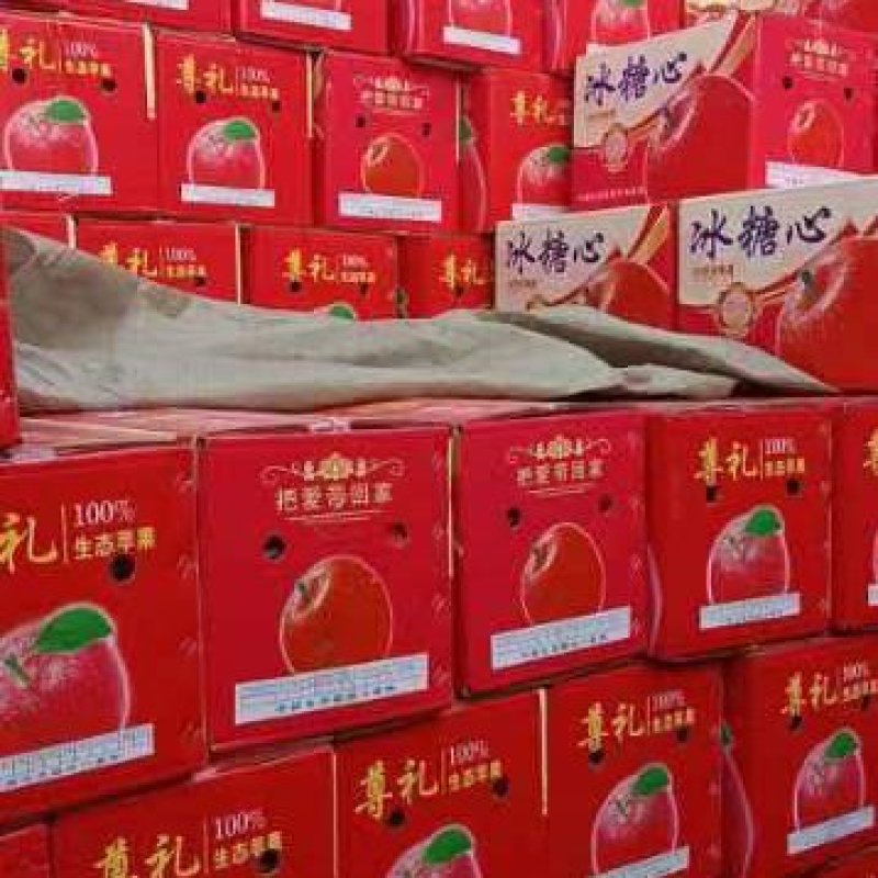 山西运城冰糖心电商货，团购货都有