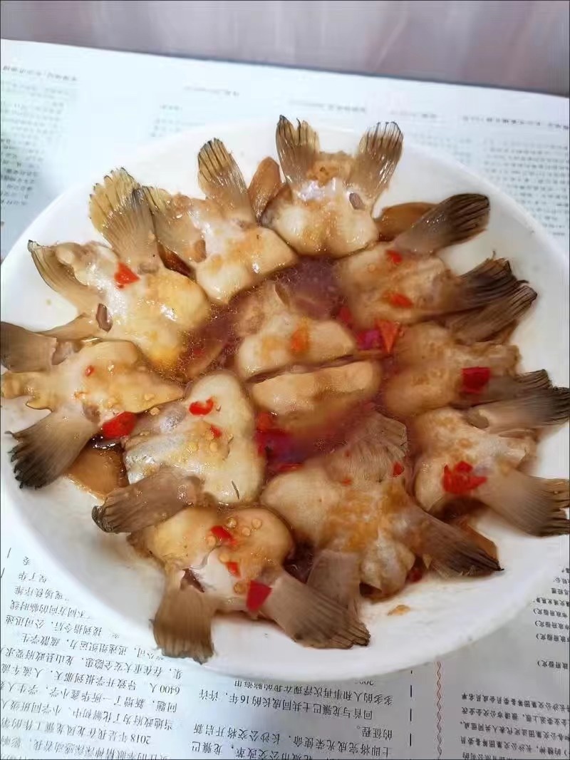 新鲜巴沙鱼翅鮰鱼翅鱼肉回鱼清江鱼巴沙鱼鳍鱼翅烧烤食材