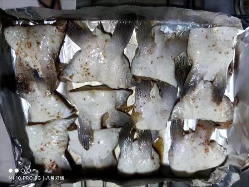 新鲜巴沙鱼翅鮰鱼翅鱼肉回鱼清江鱼巴沙鱼鳍鱼翅烧烤食材