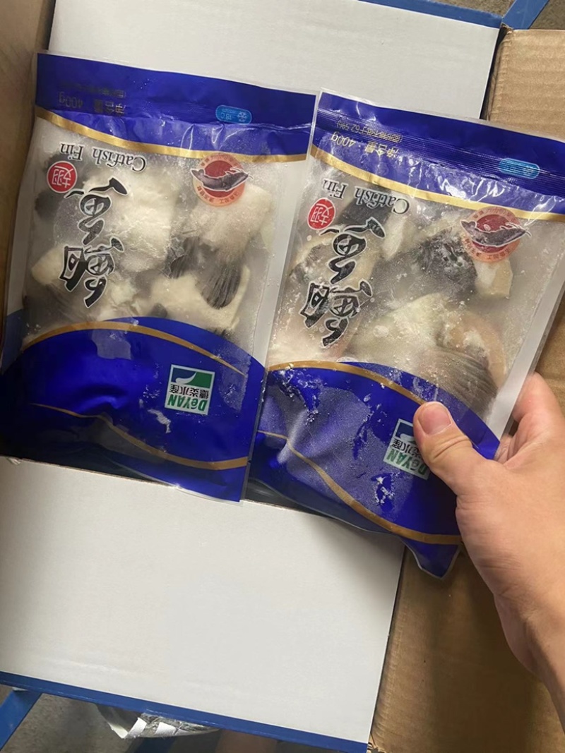 新鲜巴沙鱼翅鮰鱼翅鱼肉回鱼清江鱼巴沙鱼鳍鱼翅烧烤食材