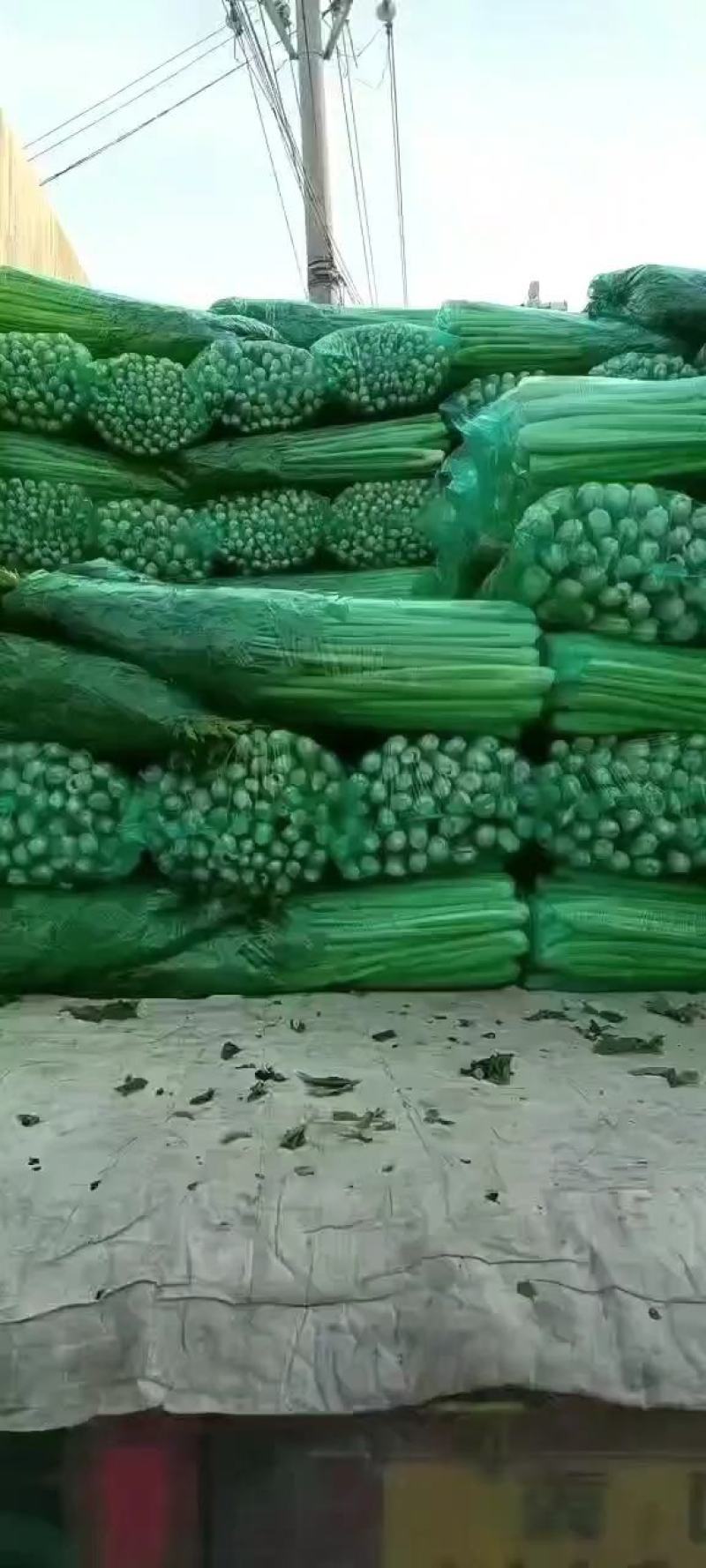 中稞小稞支持各种包装产地直发质量有保障