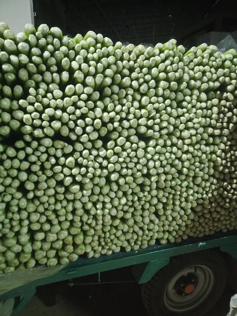 中稞小稞支持各种包装产地直发质量有保障