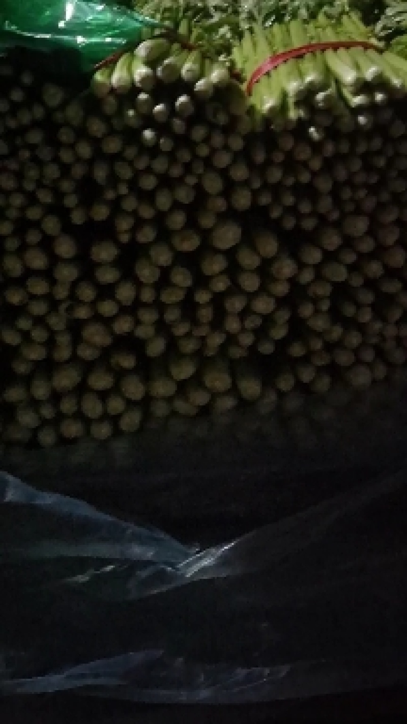 中稞小稞支持各种包装产地直发质量有保障