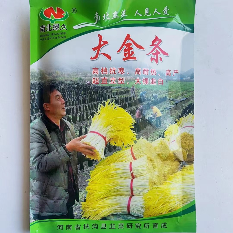 南北绿韭大金条韭黄这样品种