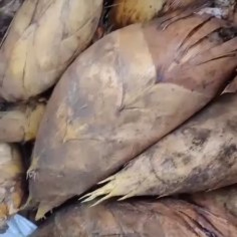 主营竹架板，木制衣架，冬笋