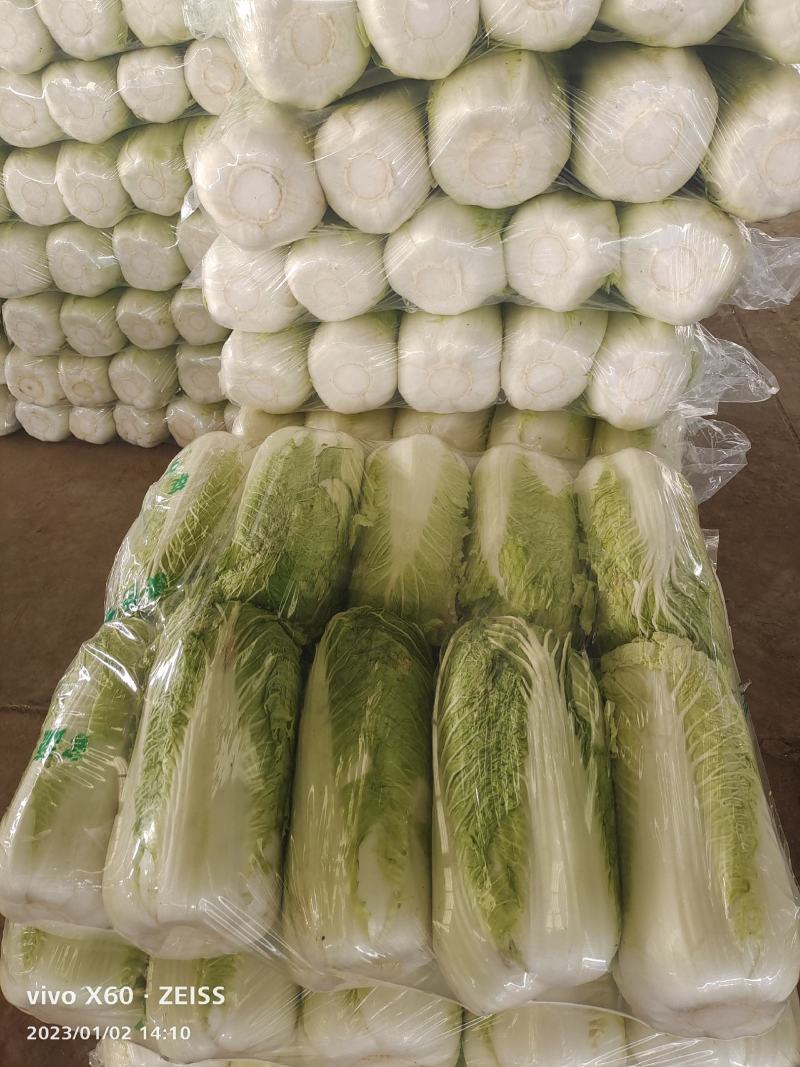 山东北京三号白菜大量供应货适合电商，超市市场欢迎客户选购