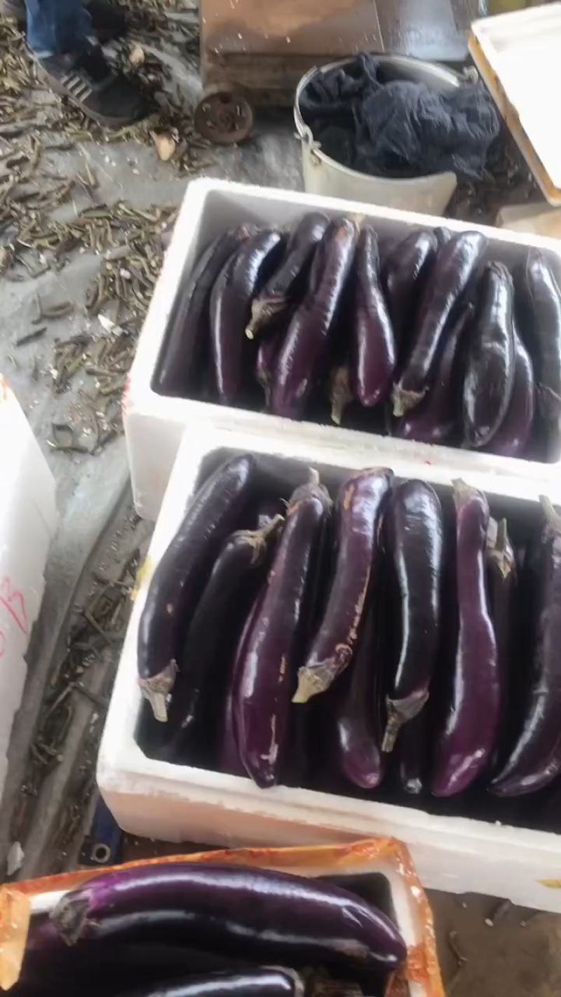 茄子，精品货源，一手货源，可视频，可下产品。需要的欢迎光
