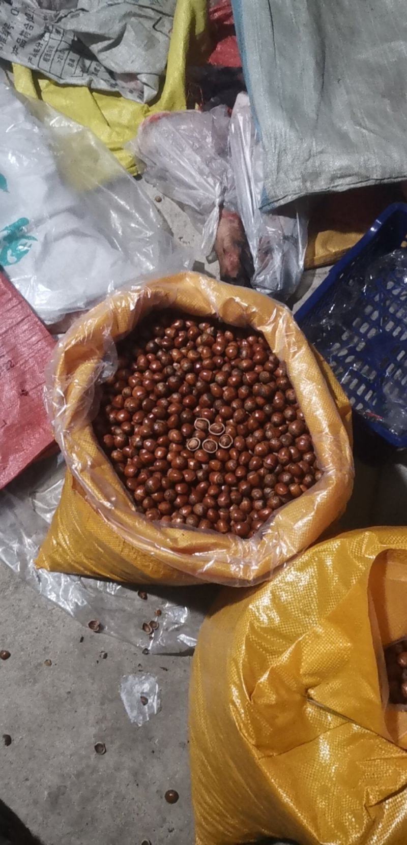【推荐】精品榛子，产地发货，口感香甜，质量保证，信誉至上