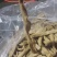 牛小肠可豁开可做油多油少，寻找量大两倍长期合作。