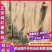 安徽正宗红薯粉丝粉条厂家直发，按需加工包装牛羊肉汤店直供