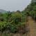 山地流转