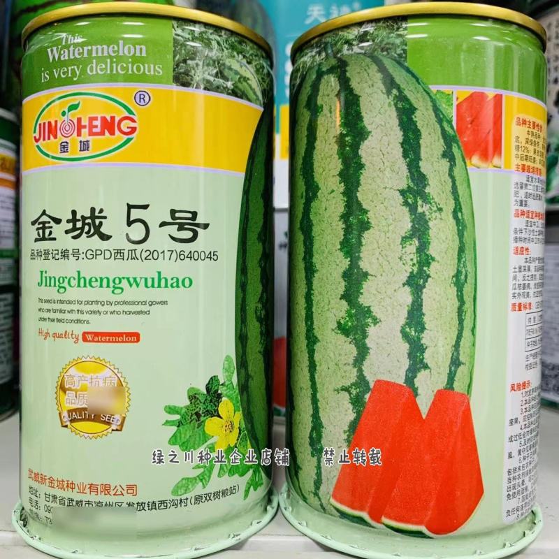正宗甘肃金城五号西瓜种子抗病露地硒砂瓜金城5号西瓜种子