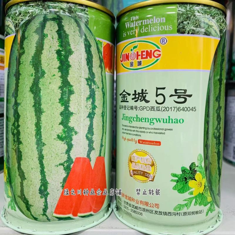 正宗甘肃金城五号西瓜种子抗病露地硒砂瓜金城5号西瓜种子