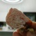 正宗富平柿饼