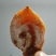 正宗富平柿饼