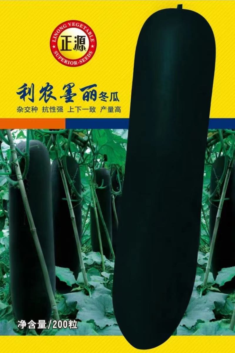 黑皮冬瓜种子利农墨丽瓜型整齐结瓜多肉质细味甜空腔小
