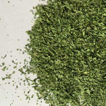 2025年新季AD欧芹，烘干平叶欧芹意大利芹正式开始供应