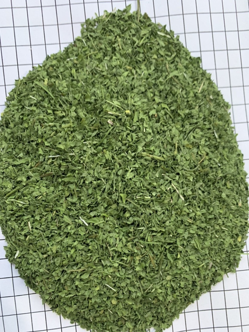 2025年新季AD欧芹，烘干平叶欧芹意大利芹正式开始供应