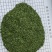 2025年新季AD欧芹，烘干平叶欧芹意大利芹正式开始供应