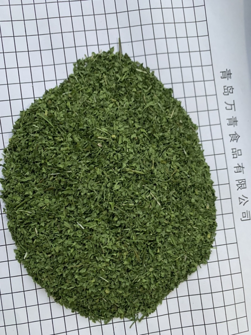 2025年新季AD欧芹，烘干平叶欧芹意大利芹正式开始供应