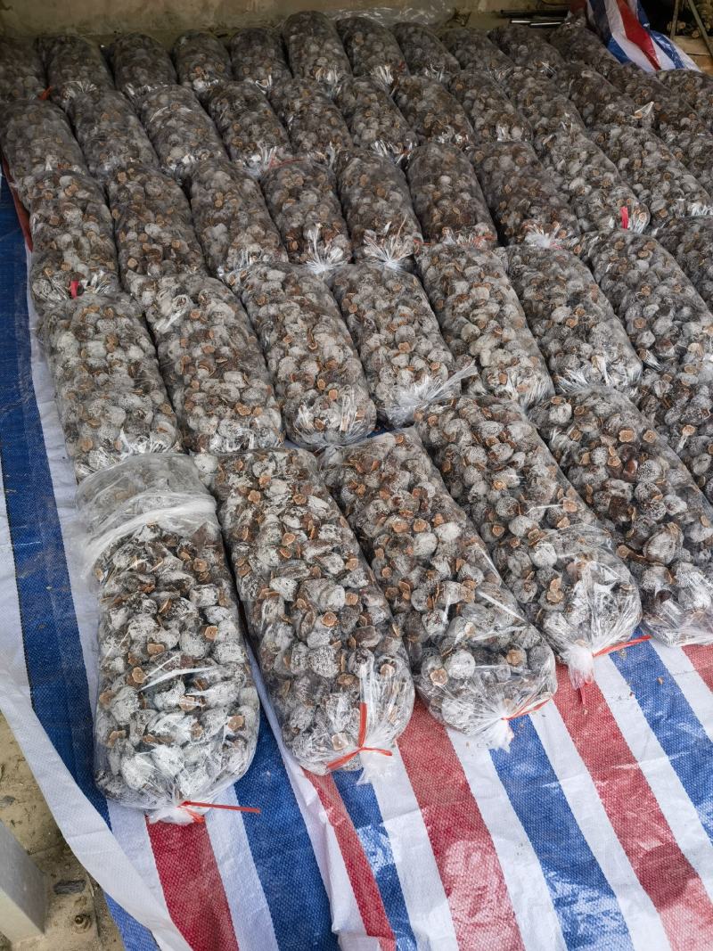 大量中条山水化柿饼