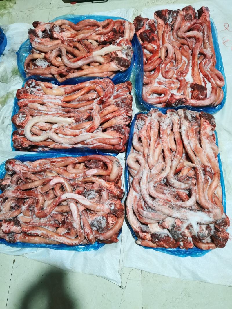 牛鞭精修牛鞭质量好可以常年供货质量稳定