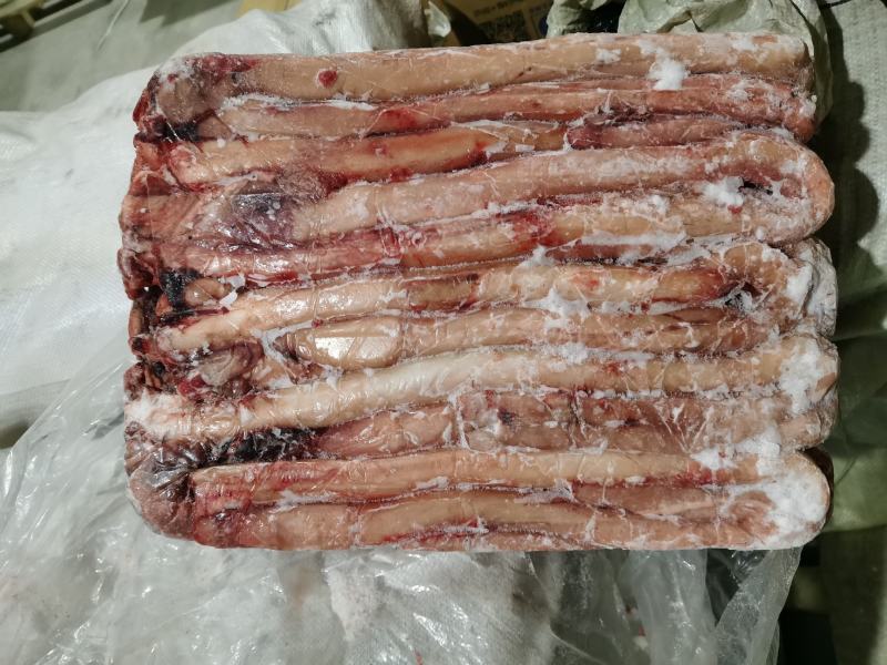 牛鞭精修牛鞭质量好可以常年供货质量稳定