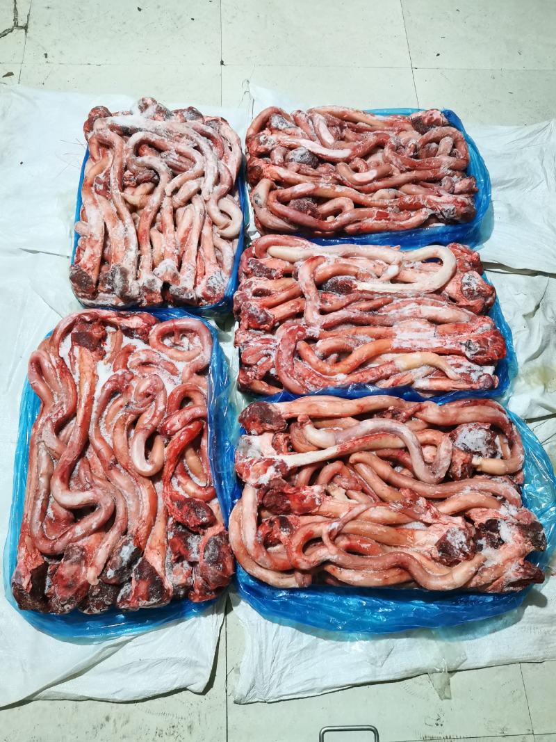 牛鞭精修牛鞭质量好可以常年供货质量稳定