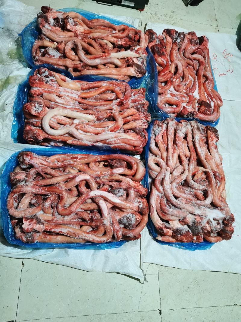 牛鞭精修牛鞭质量好可以常年供货质量稳定