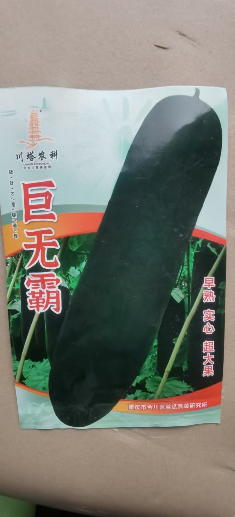 黑皮冬瓜种子巨无霸冬瓜早熟实心大果型好栽培高产量