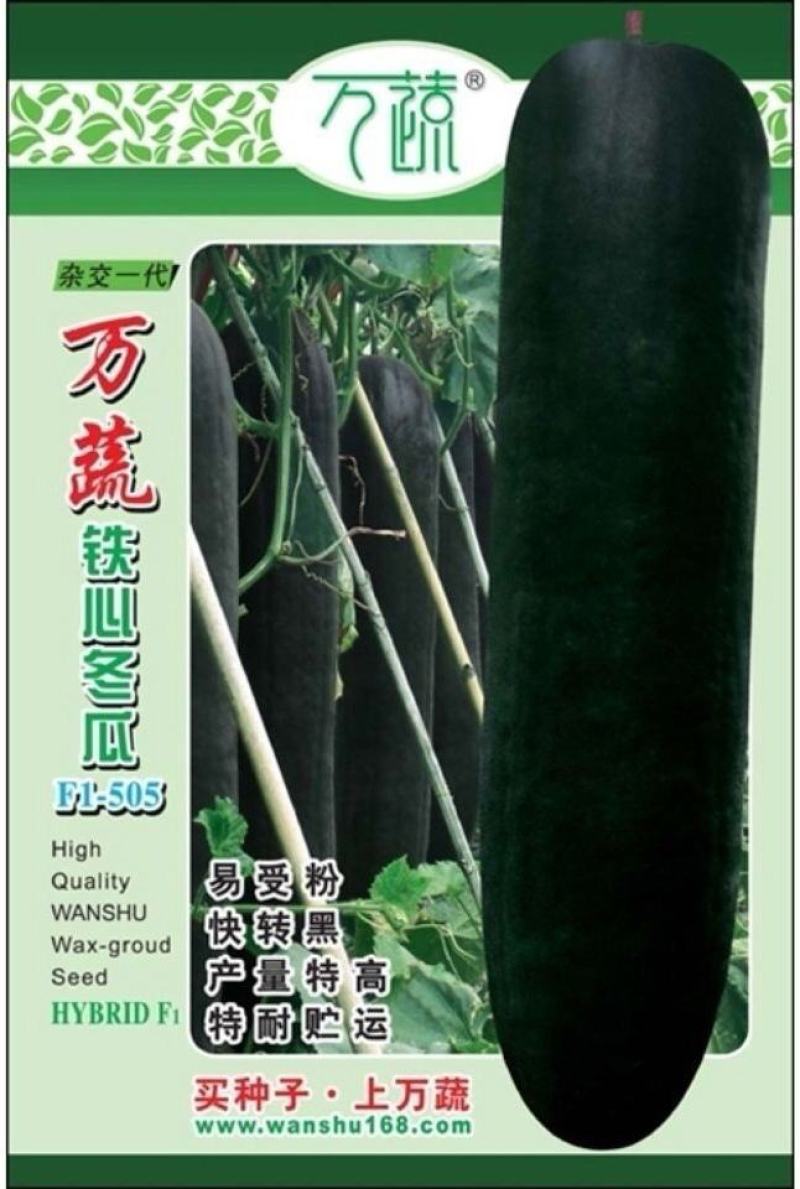 黑皮冬瓜种子巨无霸冬瓜早熟实心大果型好栽培高产量