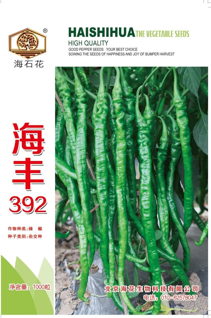 海丰螺丝线椒种子线椒种子高产抗病厂家直销