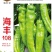 海丰大羊角椒种子高产顺直抗病厂家直销