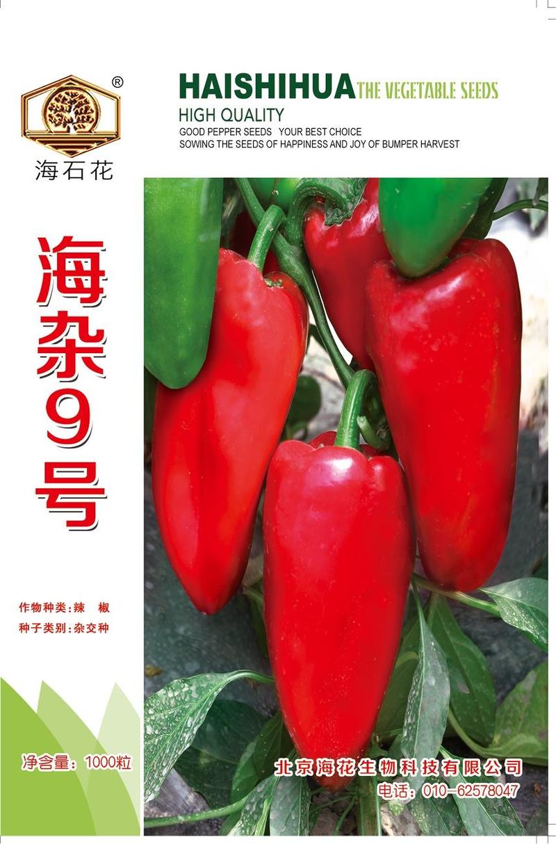 海丰甜杂锥形甜椒种子辣味泡椒水果椒品种高产抗病