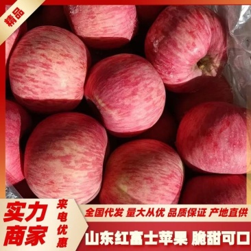 【苹果】山东红富士苹果条纹红富士片红红富士大量供应中