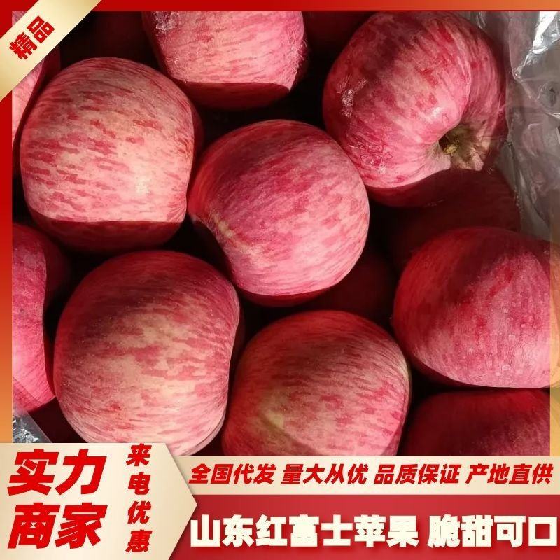 【苹果】山东红富士苹果条纹红富士片红红富士大量供应中