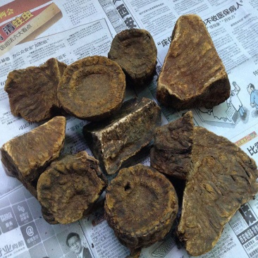 大黄片马蹄大黄块产地供货量大从优