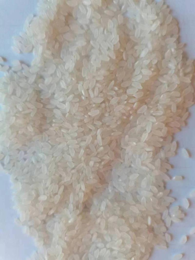 批发2021年长粒香大米(新珍珠米，碎大米，抛光选白米)