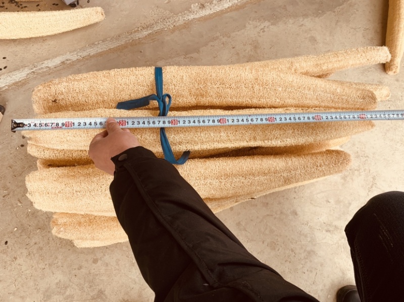 丝瓜络长度50-60公分天然洗澡神器