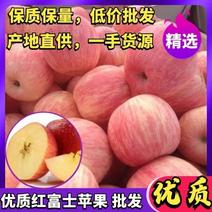 【包邮】沂蒙苹果红富士苹果冰糖心品质保证量大从优欢迎采购