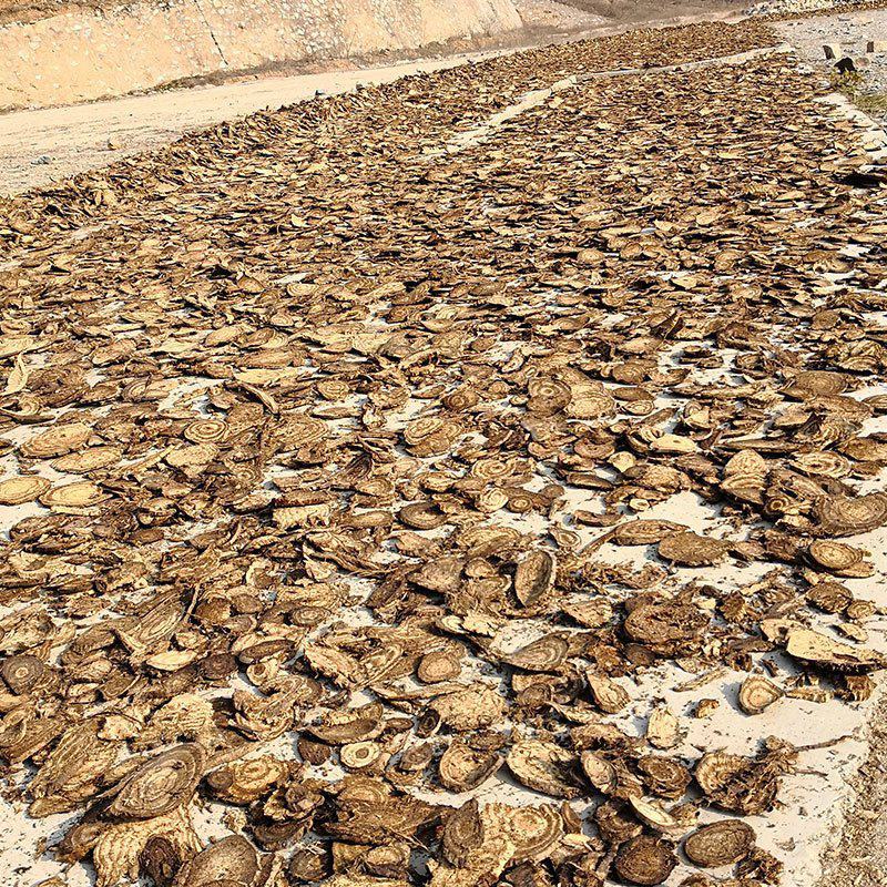 野生葛根中药材葛根片散装产地直发量大优惠