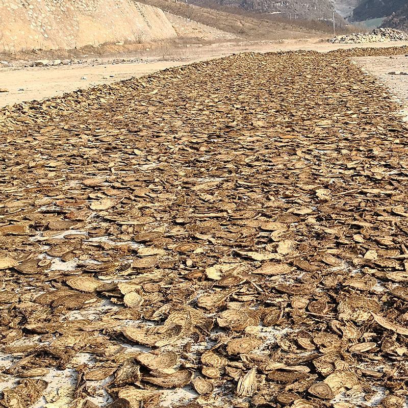 野生葛根中药材葛根片散装产地直发量大优惠