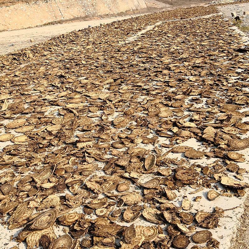 野生葛根中药材葛根片散装产地直发量大优惠