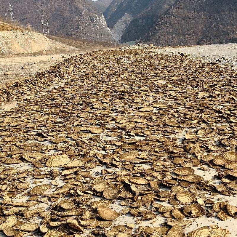 野生葛根中药材葛根片散装产地直发量大优惠