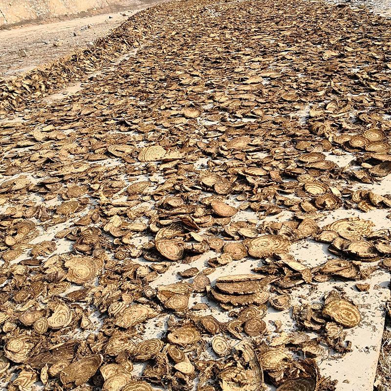 野生葛根中药材葛根片散装产地直发量大优惠