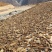 野生葛根中药材葛根片散装产地直发量大优惠