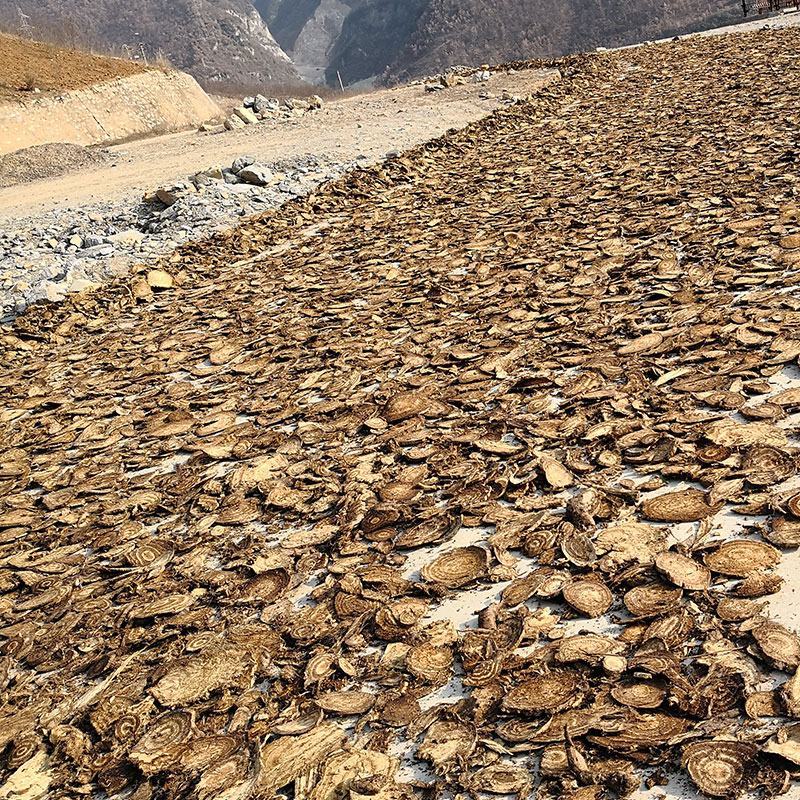 野生葛根中药材葛根片散装产地直发量大优惠