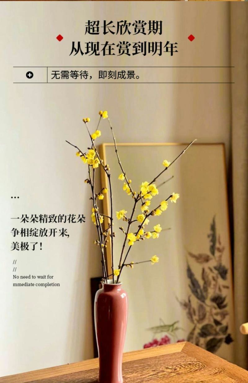 腊梅冬季抗寒干枝腊梅遇水开花鲜切水培腊梅浓香办公场所鲜花