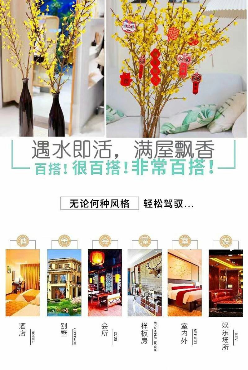 腊梅冬季抗寒干枝腊梅遇水开花鲜切水培腊梅浓香办公场所鲜花
